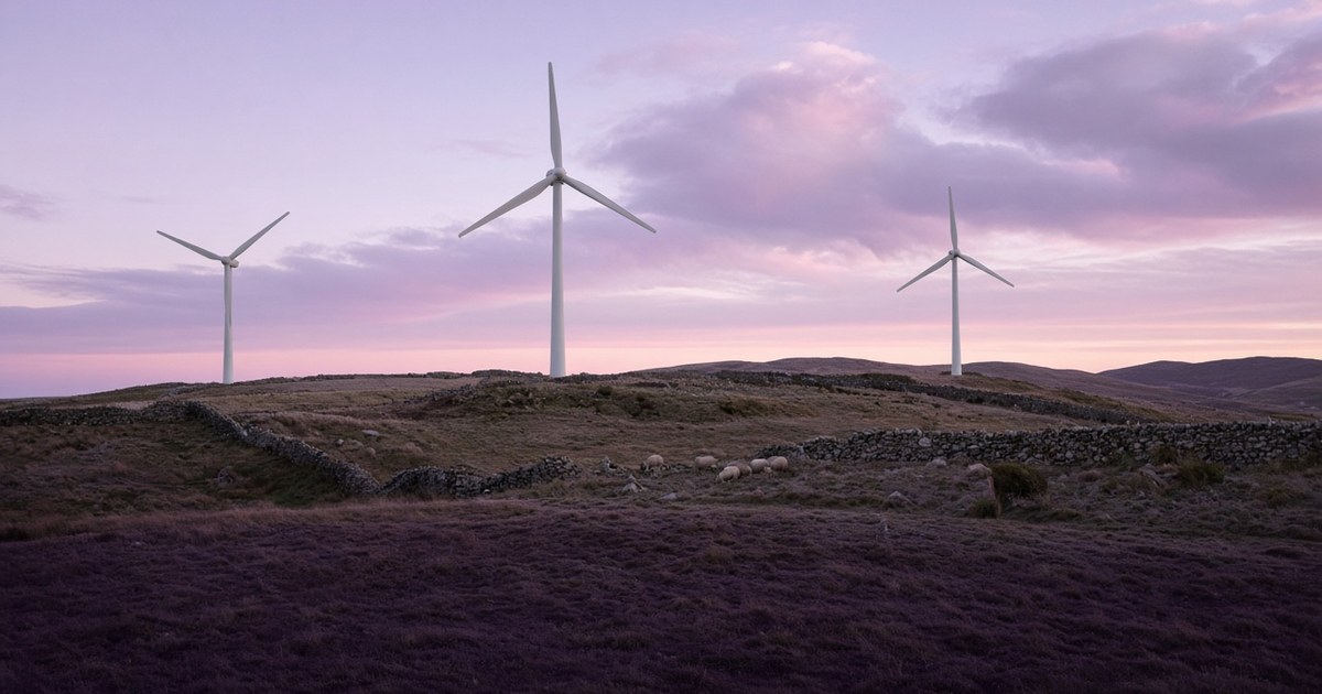 Ecotricity Review (October 2026): Is It Worth It, and Is It Better Than Octopus?
