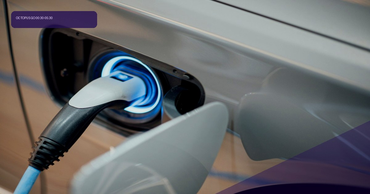 Octopus Go EV tariff UK: 00:30–05:30 rates vs Ofgem (September 2026)